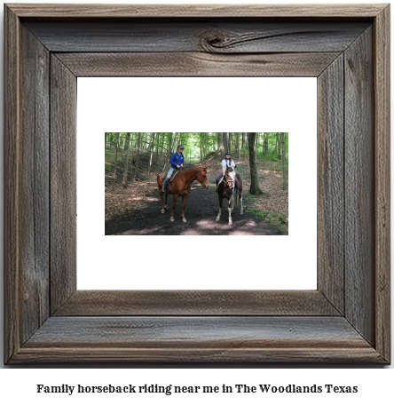 family horseback riding near me in The Woodlands, Texas